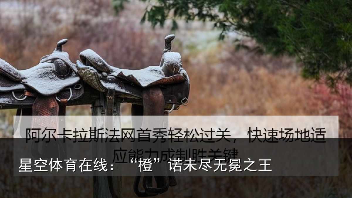 星空体育在线：“橙”诺未尽无冕之王