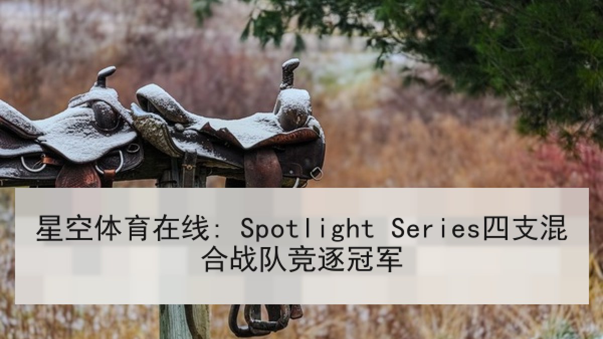 星空体育在线: Spotlight Series四支混合战队竞逐冠军