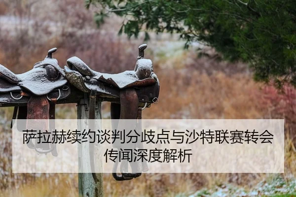 萨拉赫续约谈判分歧点与沙特联赛转会传闻深度解析