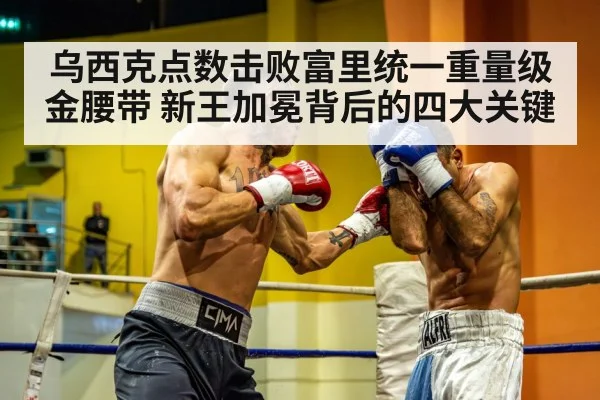 heavyweight boxing